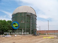1 -4MW Biogas Power Plant EPC Turnkey BOT BTO Serviço de projeto com tanques de armazenamento de vidro fundido a aço