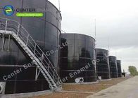 Tanque de digestor anaeróbico de aço para grandes projetos de biogás fácil de limpar