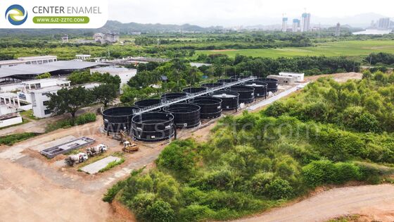 Soluções de Energia Sustentável: Tanques GFS e Telhados de Membrana Dupla para Projetos de Biogás no Quênia
