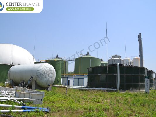 Contratante líder do projeto de biogás com processo CSTR para o tratamento de esterco de bovinos da África do Sul