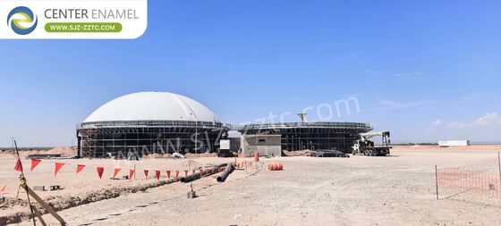 Kitchen Waste Treatment in South Korea: Biogas Project EPC Contractor with CSTR Process