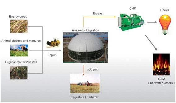 Tanque de armazenamento de biogás Superior EPC fornecedor chave na mão para energia de biogás de resíduos Sistema completo 1